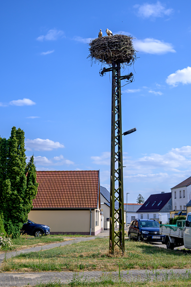 OFZ_05955.jpg