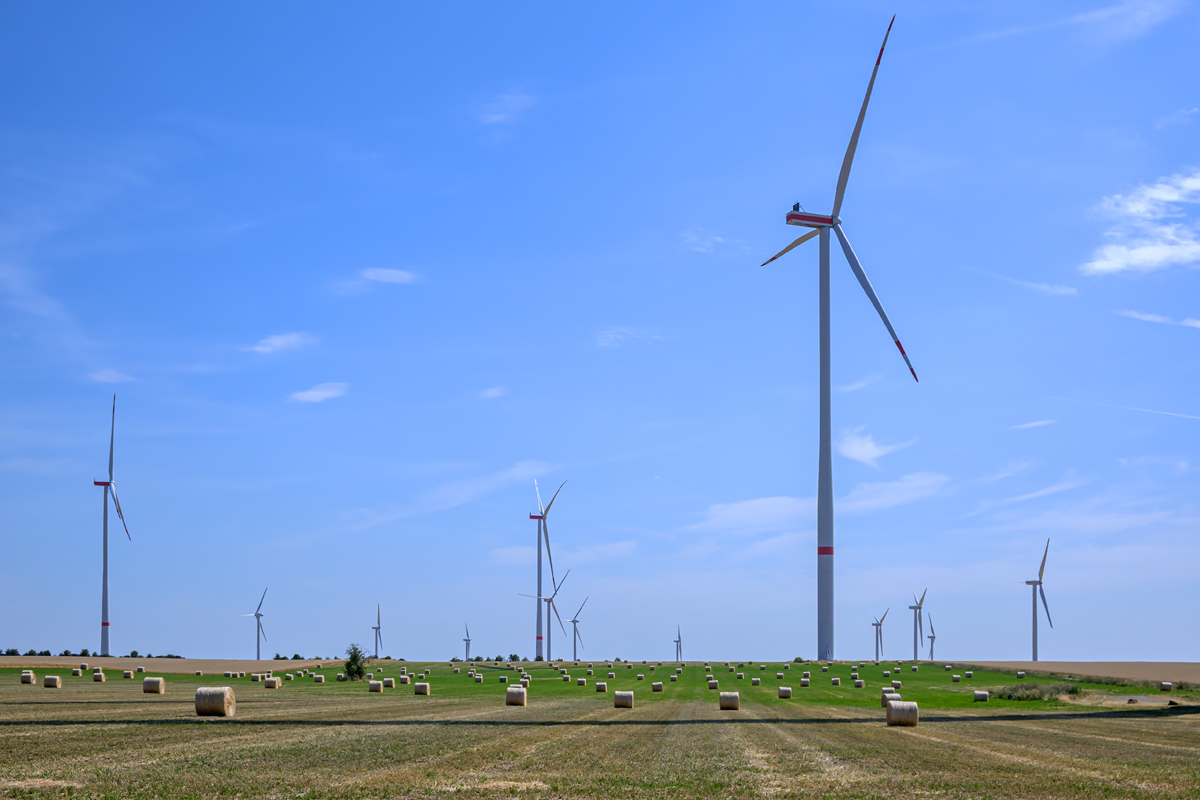 OFZ_06149.jpg