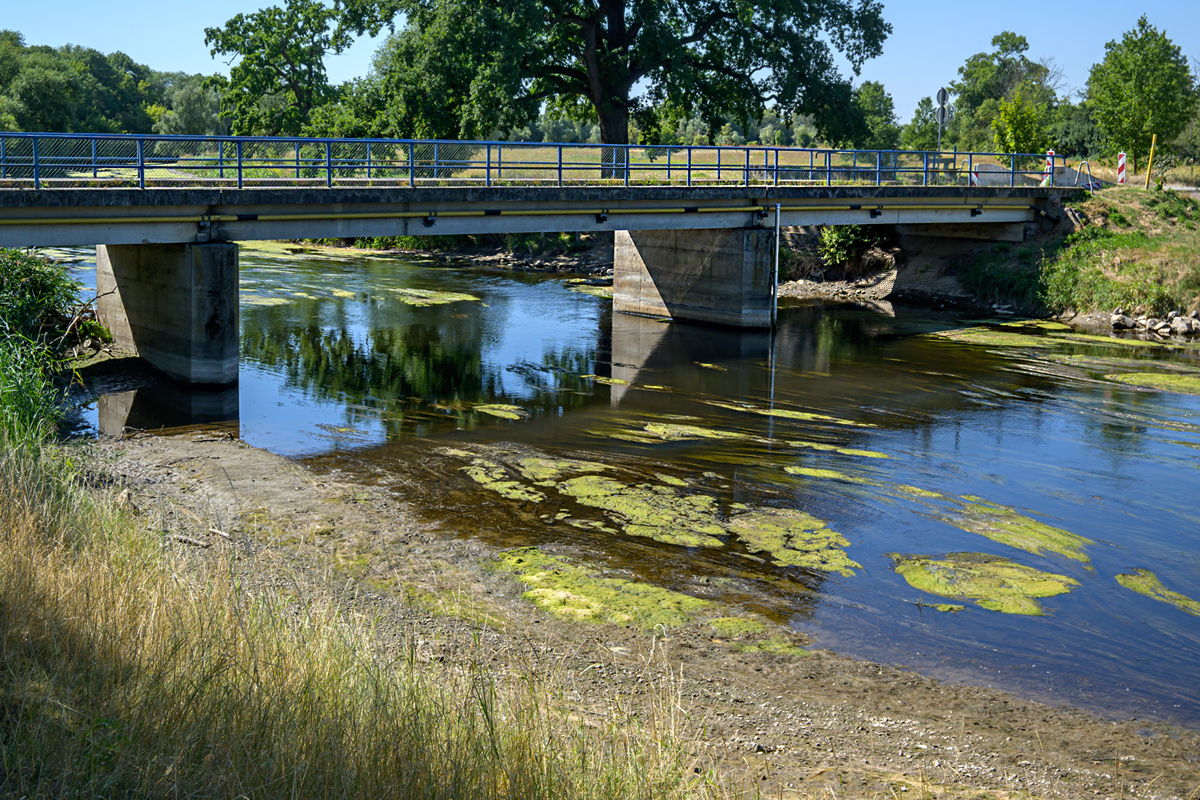 OFZ_06629.jpg