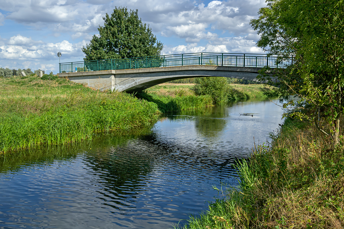 OFZ_07192.jpg