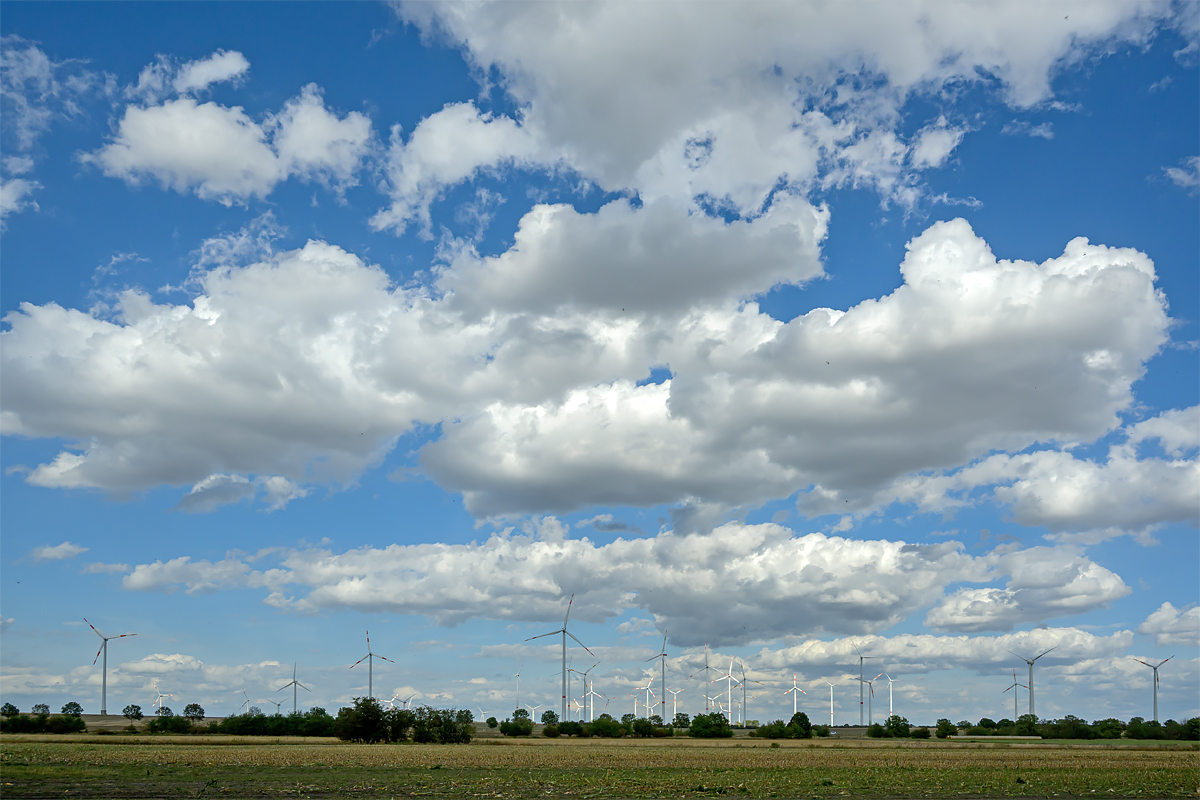 OFZ_07230.jpg