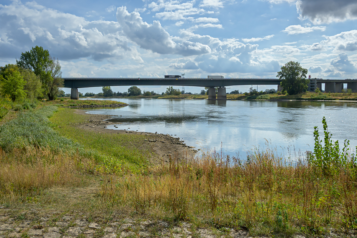 OFZ_07277.jpg