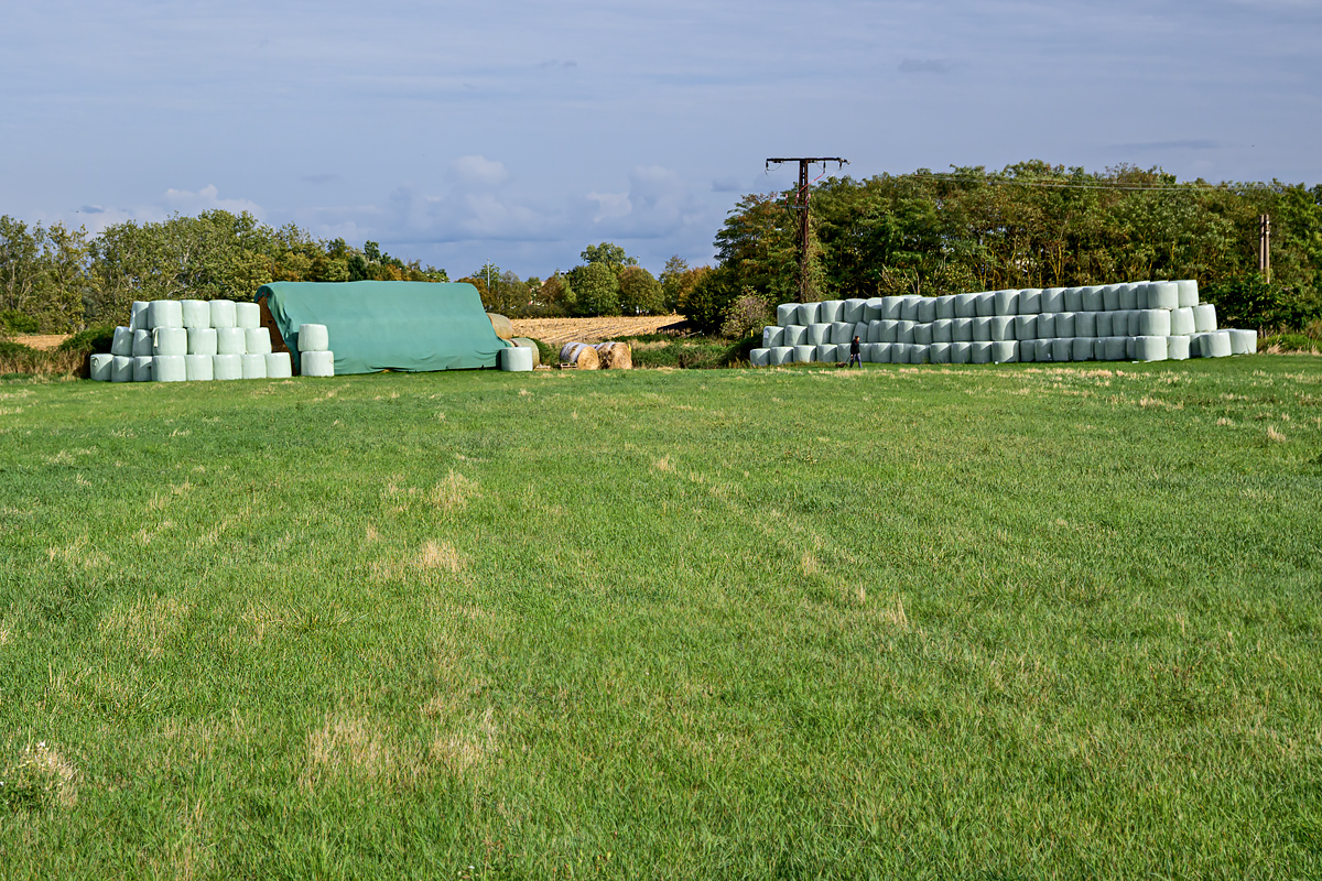 OFZ_07443.jpg