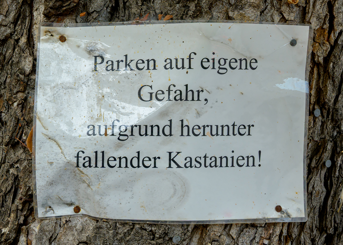 OFZ_07493.jpg