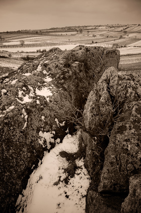 Oggau in Sepia