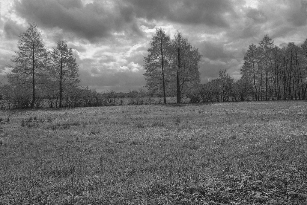 OHV 0024 120422 c2 sw 1024