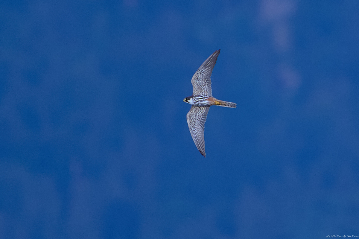 Okt 12 2021-05.jpg