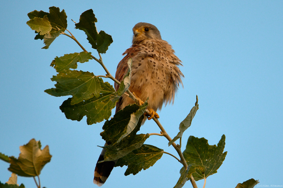 Okt 12 2021-06.jpg