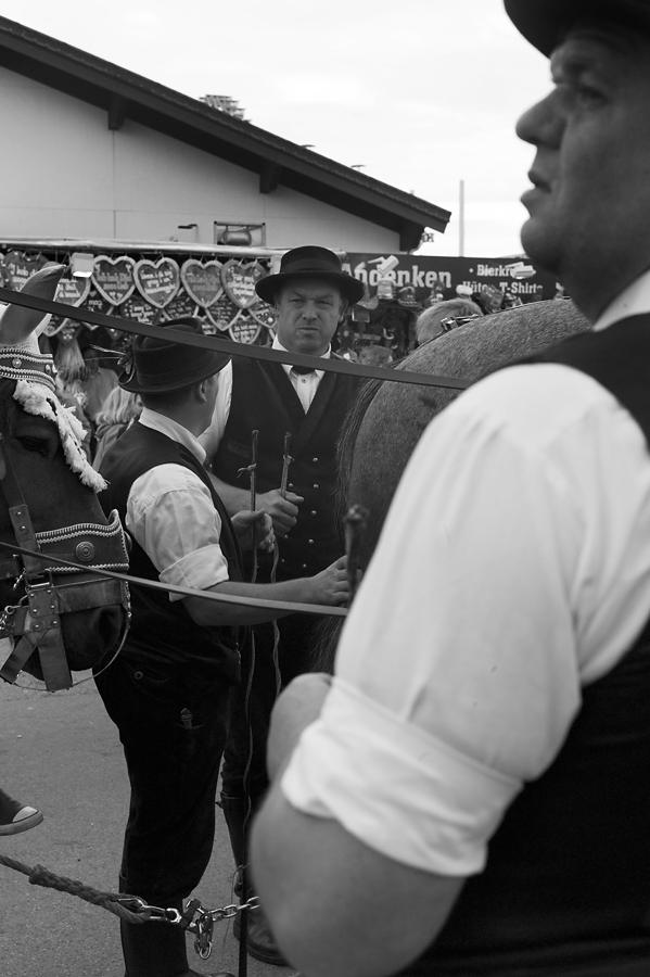 Oktoberfest 2012 1013586