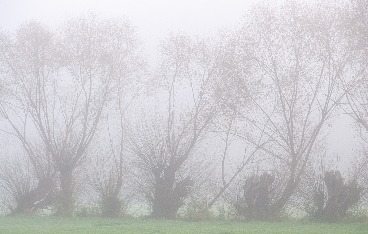 Oktobernebel 1