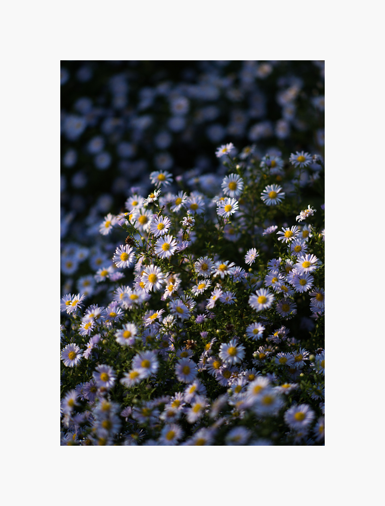 Oktoberpark4