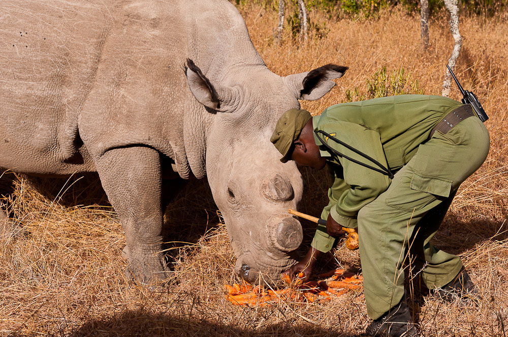 Ol Pejeta 6896