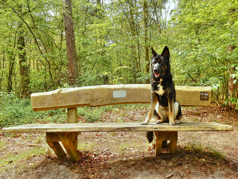 OLD 2019 -110 Kopie.jpg