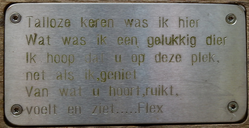 OLD 2019 -111.jpg