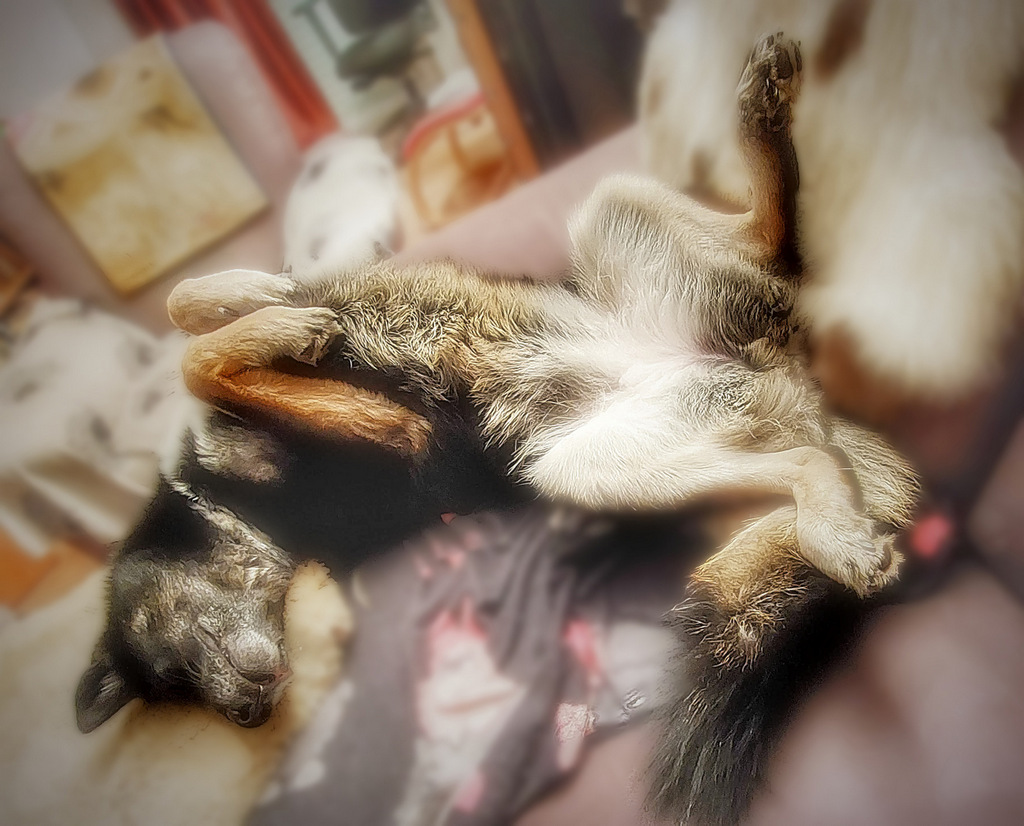 OLD 2022-221_HDR.jpg