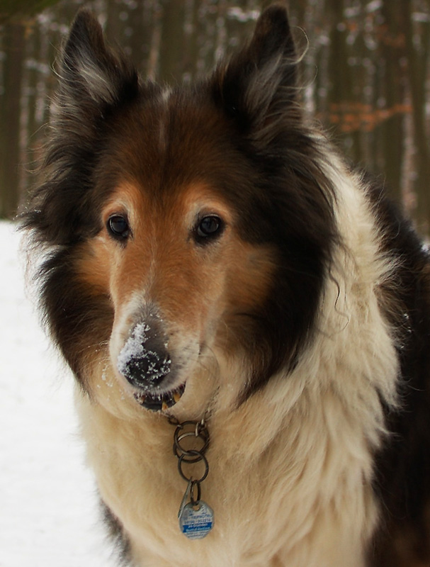 Old Lady