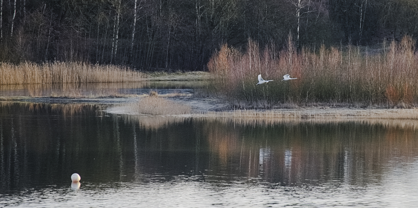 Oldenstädter See.jpg