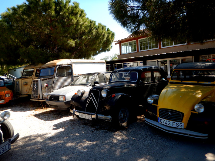 Oldies.1