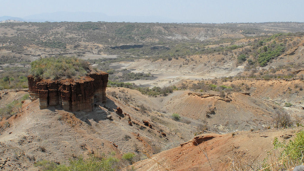 Oldupai (auch Olduvai) Schlucht.
Die Wiege der Menschheit
2533