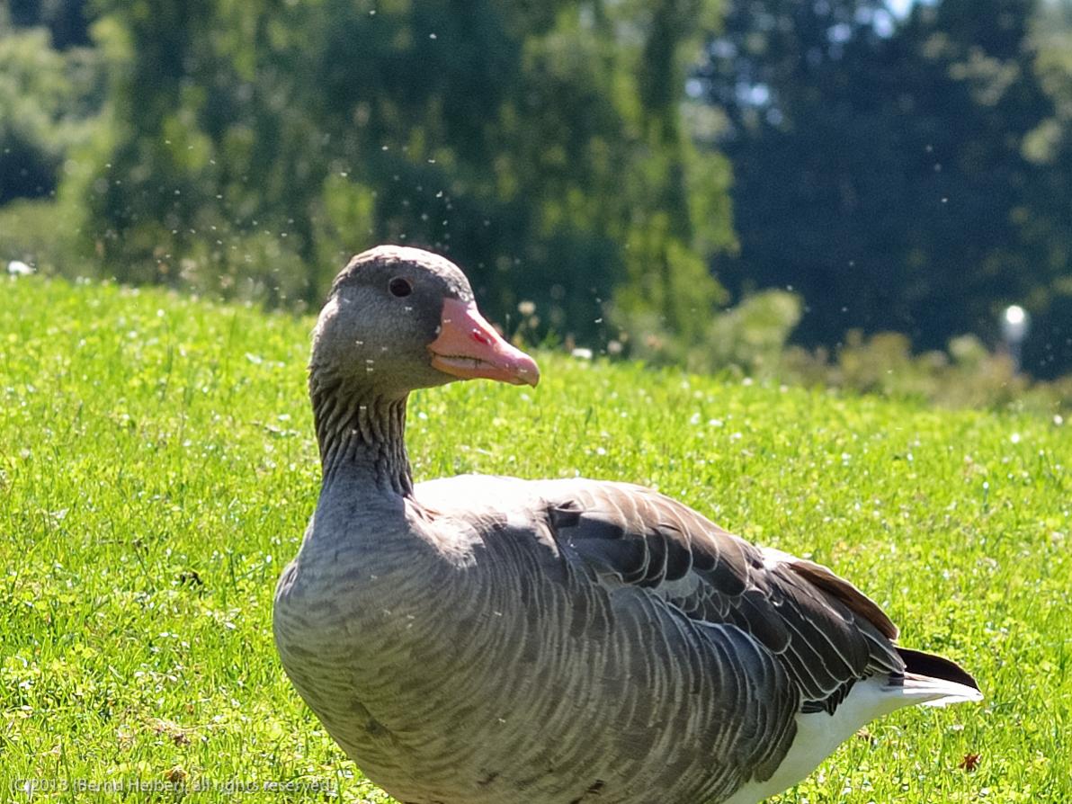 olympiapark 1 6