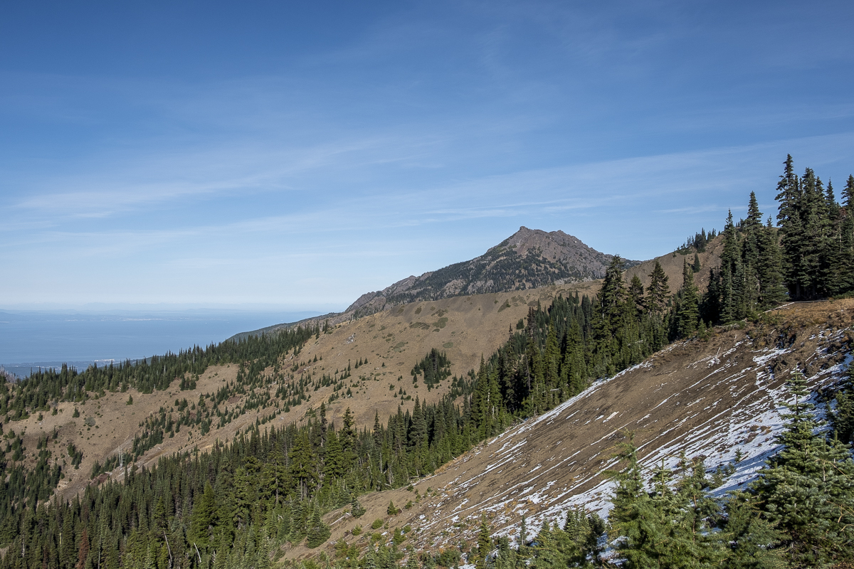 Olympic NP Richtung Kanada.jpg