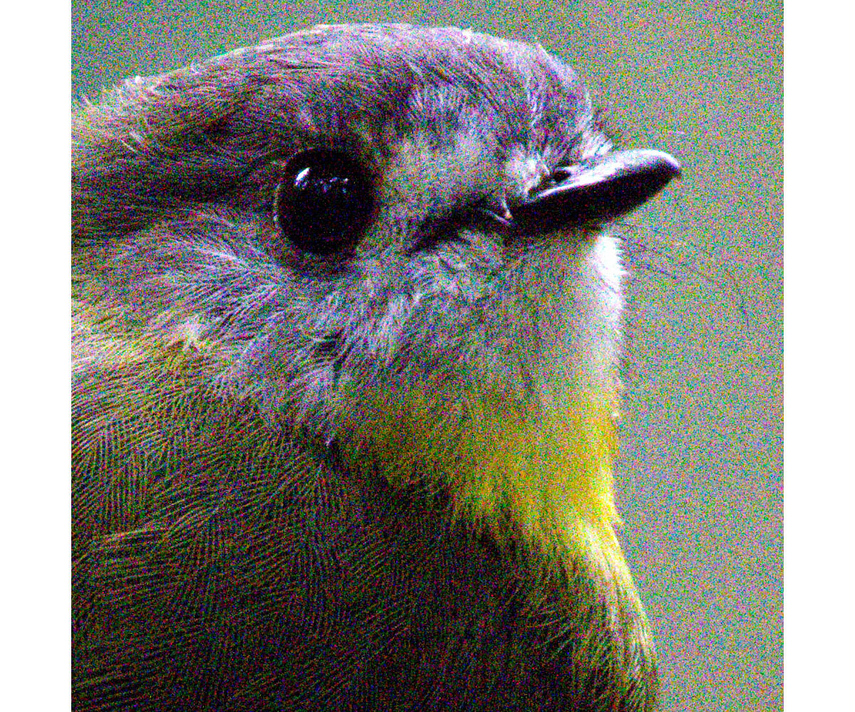OM-1_cropped_org.jpg