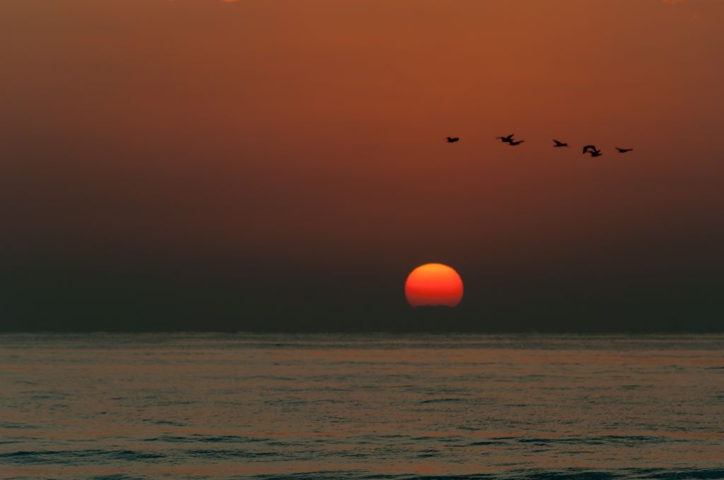Oman 2017 2