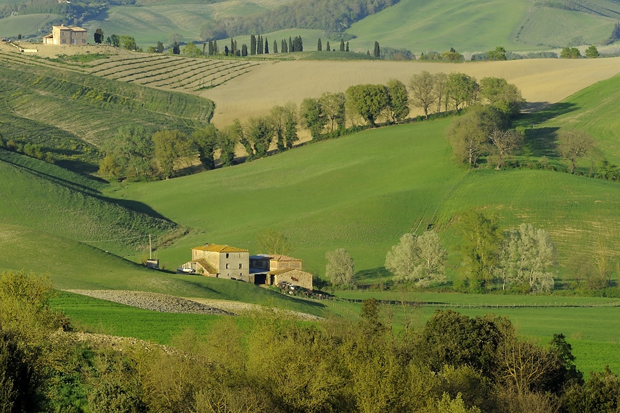 Ombrone_02_web