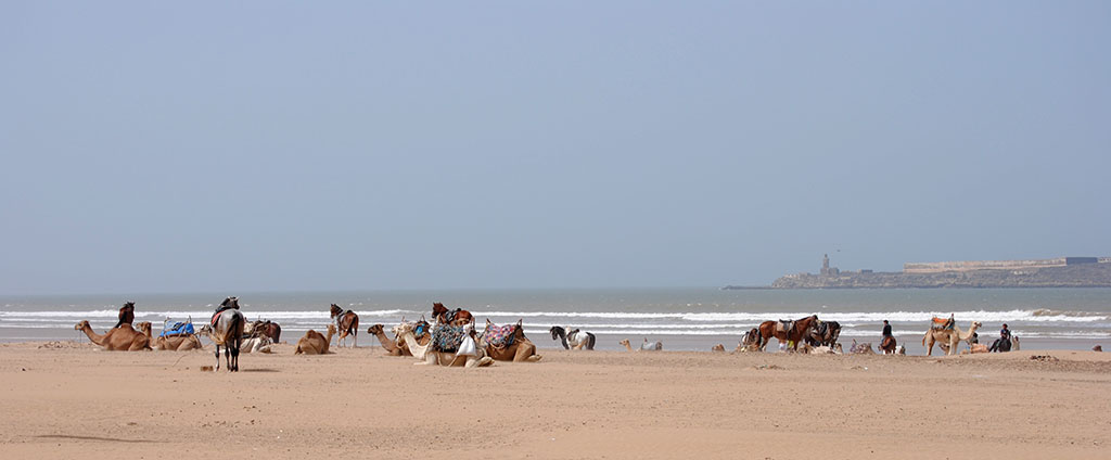 On the beach of Essaouira