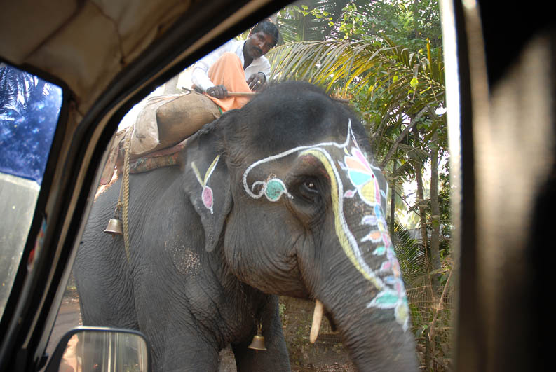 On the road to the Jungle trip (Goa)