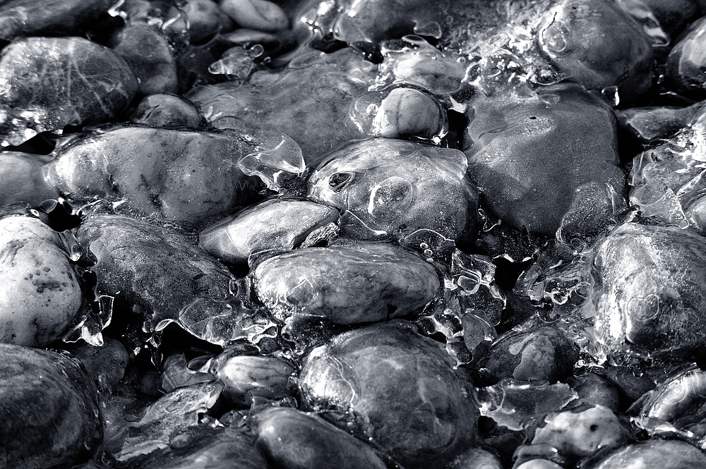 on the rocks sw b