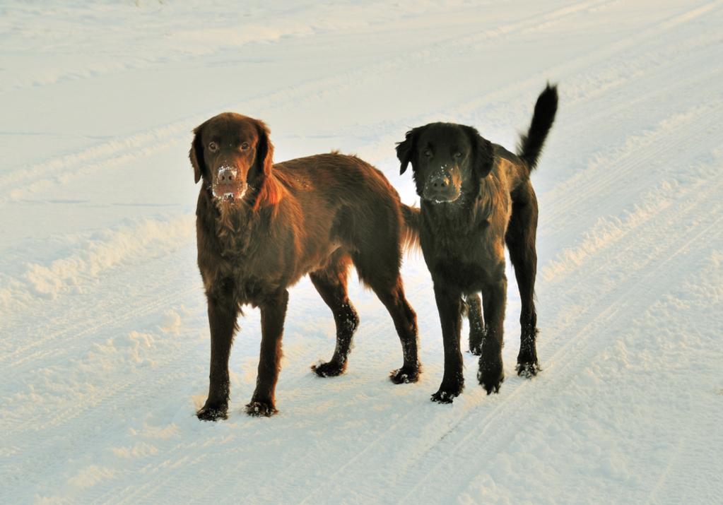 onkel und neffe