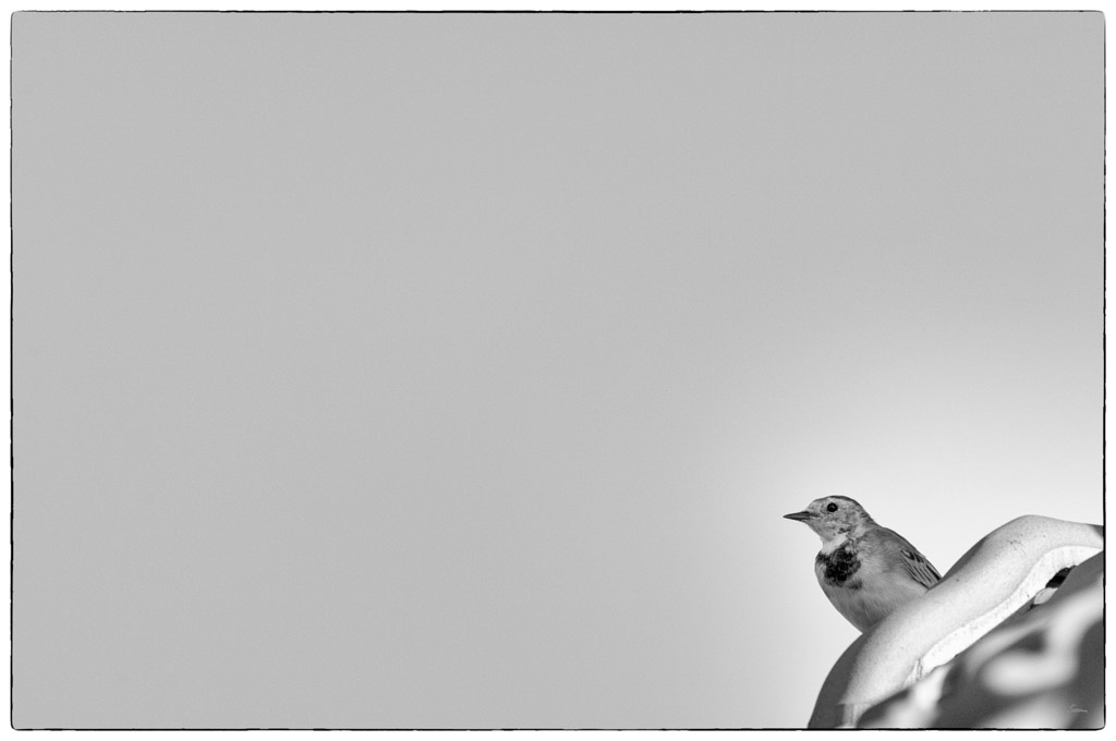 OperDSC 0174