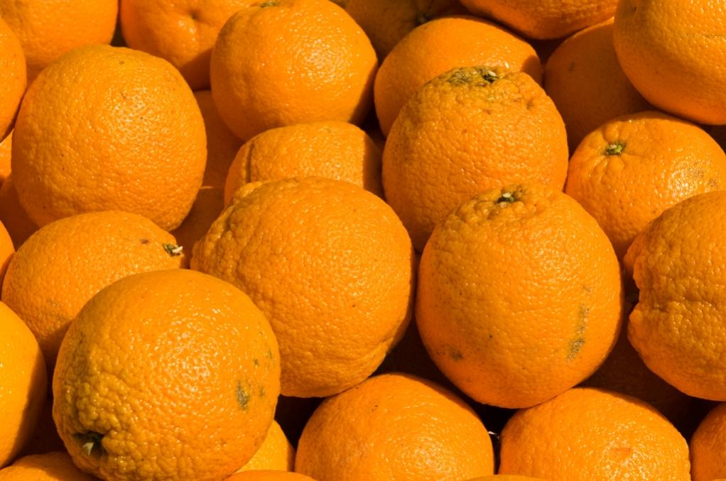 Orangen Bunt