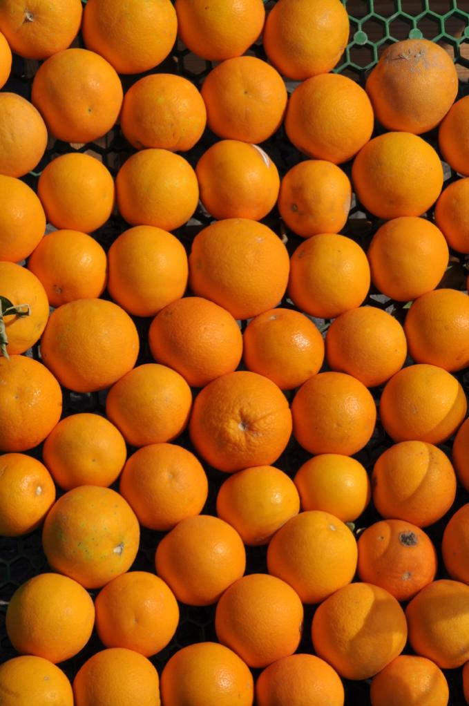 orangen