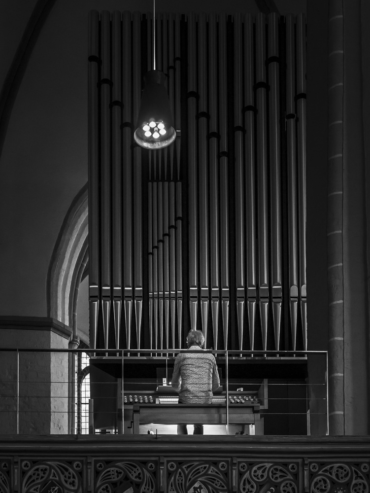 Organist