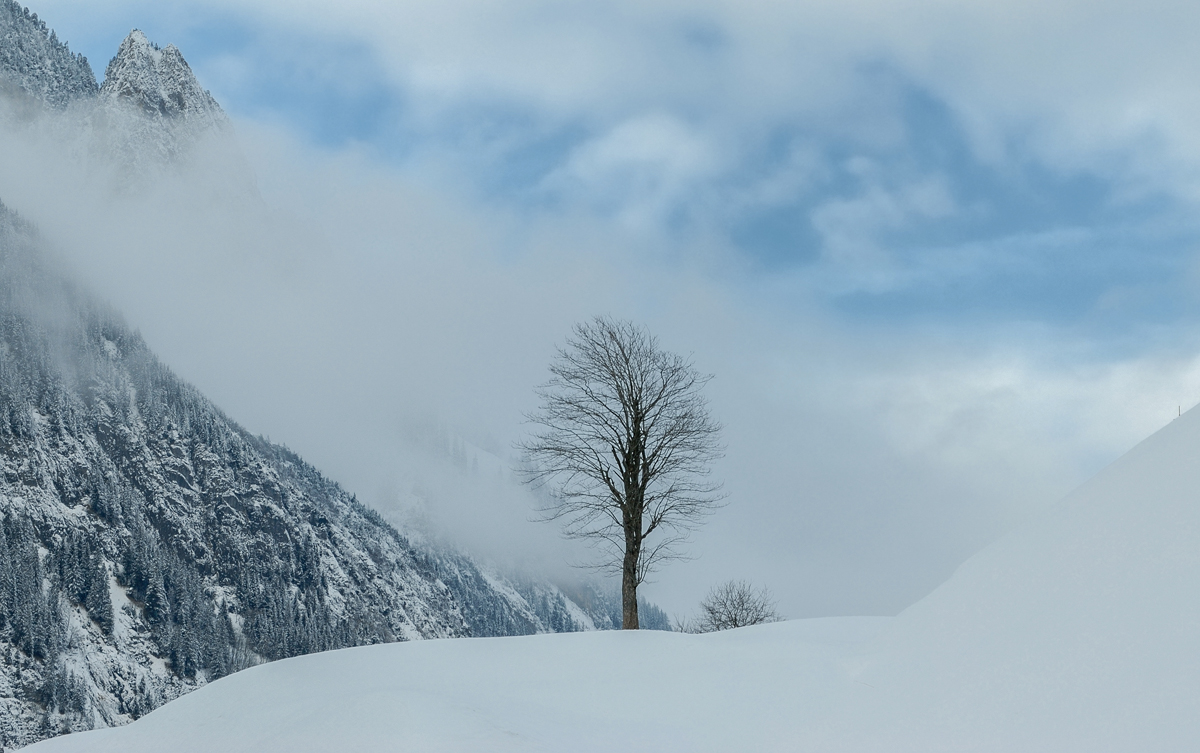 Original 20070127 2176 .01