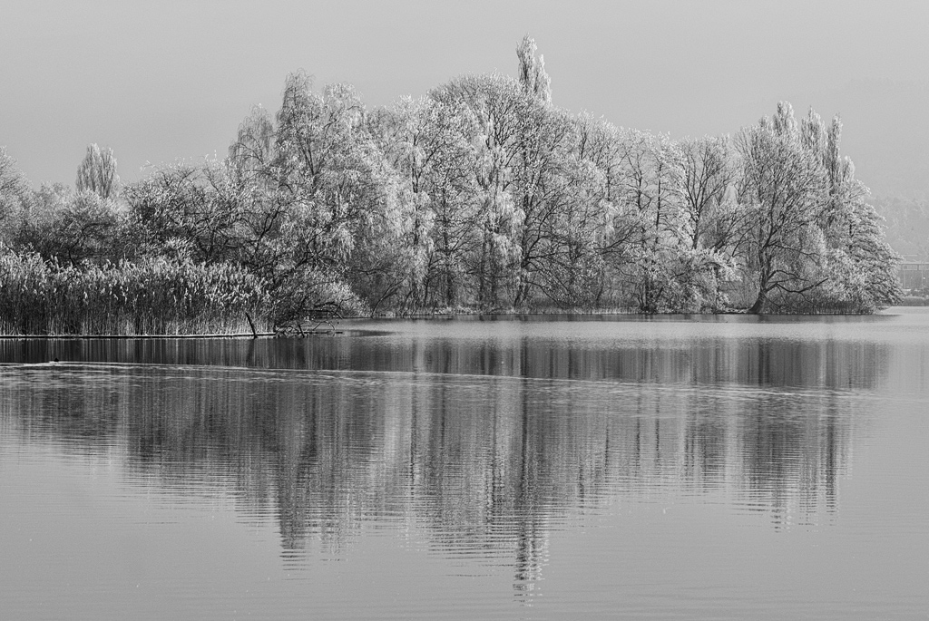 Original 20071222 0258 .12