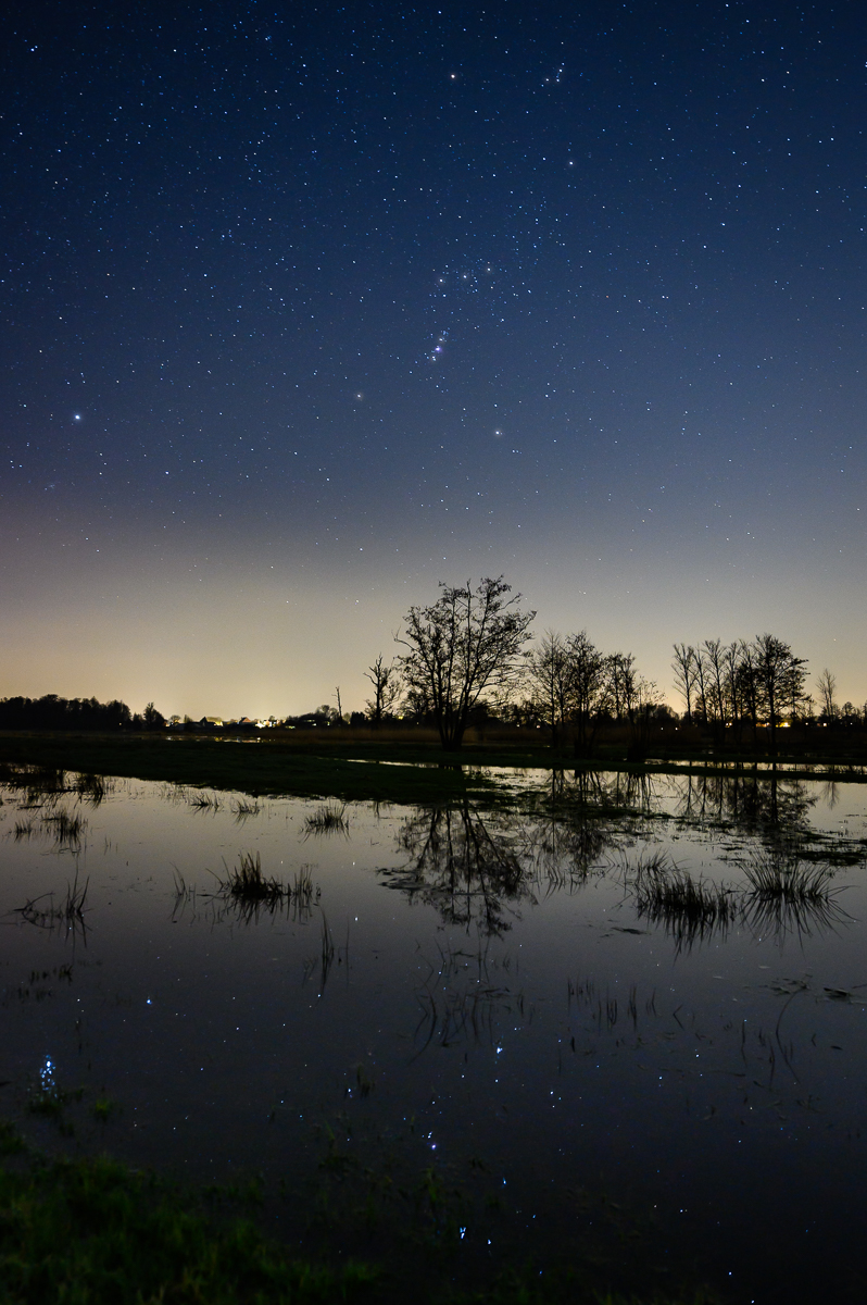 Orion über der Flut