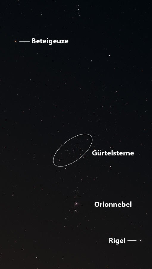 Orion 01 DSS web02
