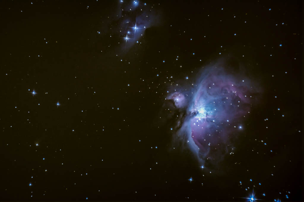 Orion