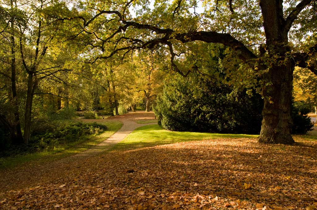 Ort: Friedhof Ohlsdorf in Hamburg