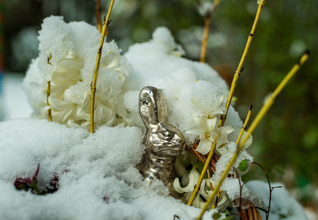 Osterblumenkörbchen im Schnee