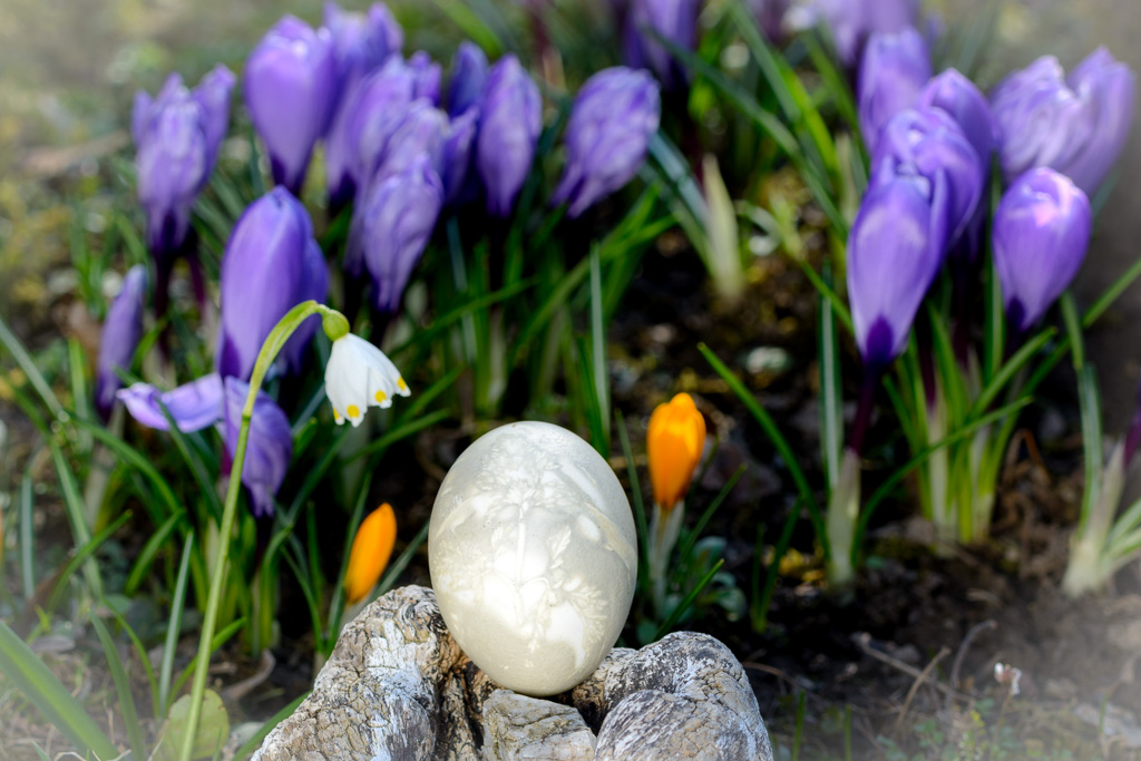 Osterfrühling