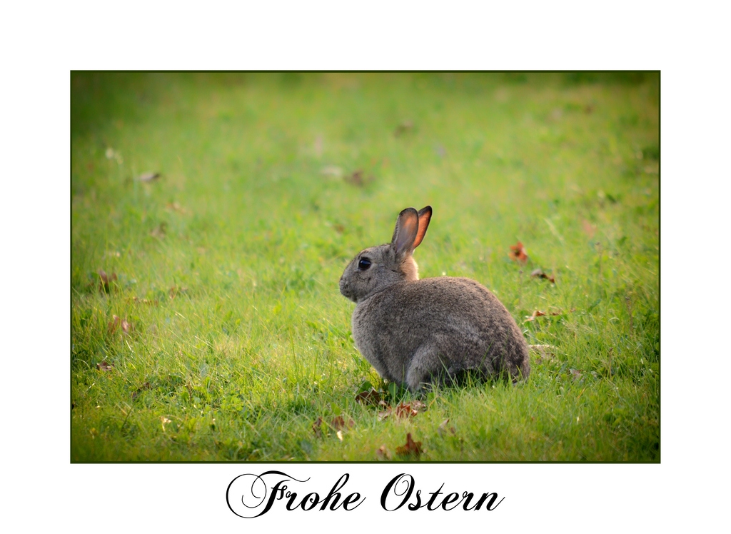 Ostern DSC 9091 Kopie
