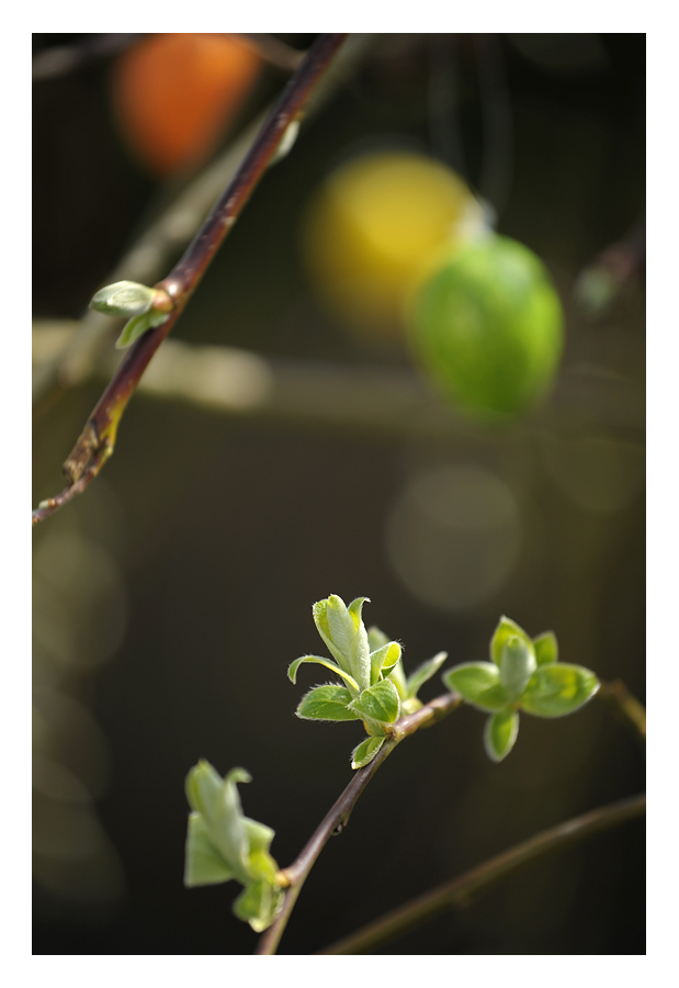 ostern