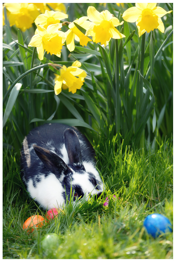 ostern15