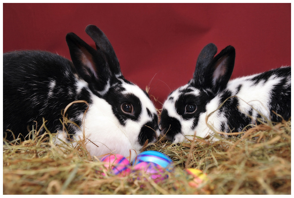 ostern5