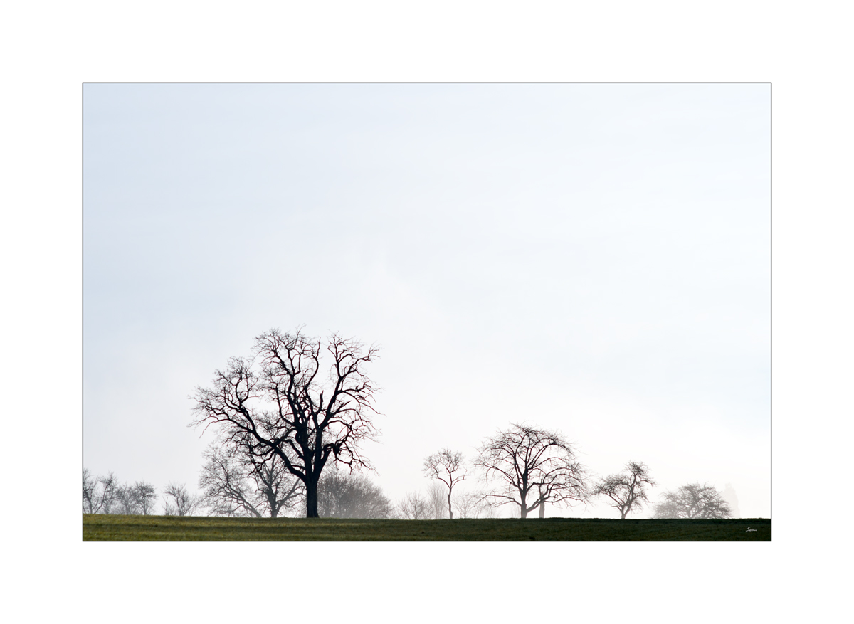 OsternPZ1 3051