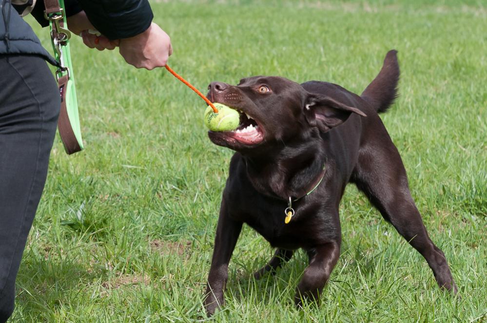 Ostersonntag 2012 (7 von 25)
